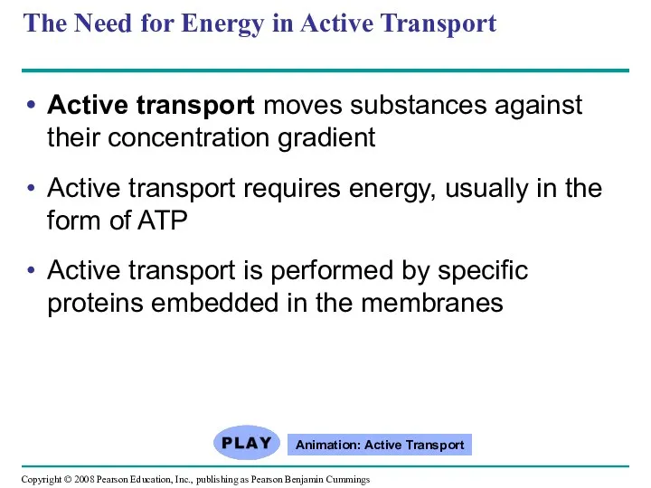 The Need for Energy in Active Transport Active transport moves