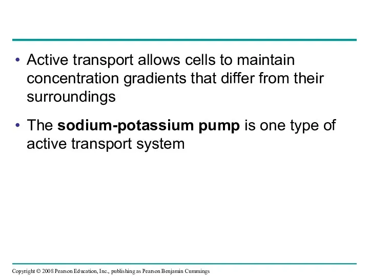 Active transport allows cells to maintain concentration gradients that differ