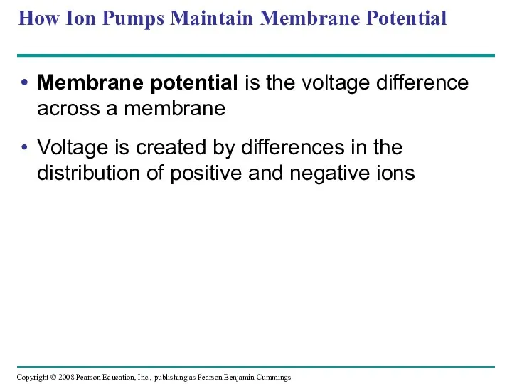 How Ion Pumps Maintain Membrane Potential Membrane potential is the