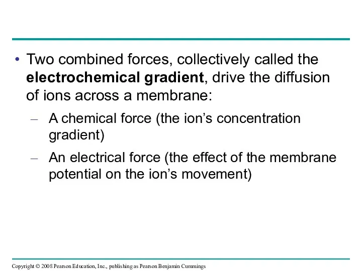 Two combined forces, collectively called the electrochemical gradient, drive the