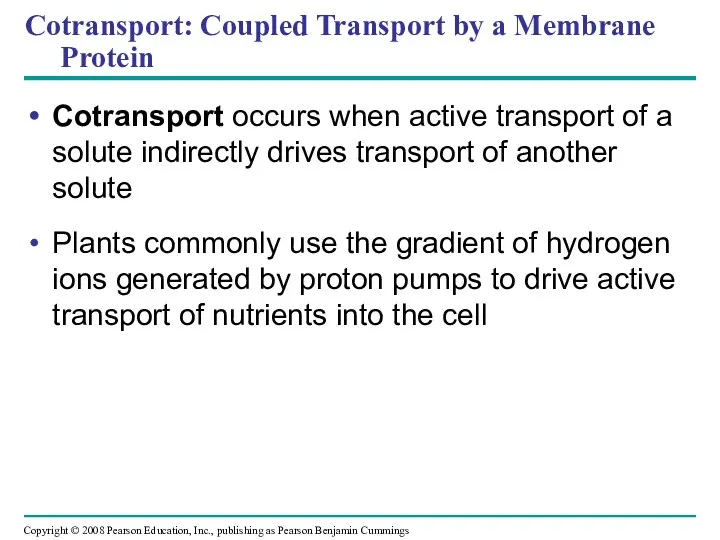 Cotransport: Coupled Transport by a Membrane Protein Cotransport occurs when