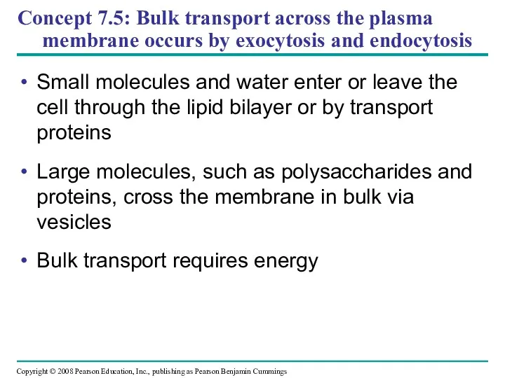Concept 7.5: Bulk transport across the plasma membrane occurs by
