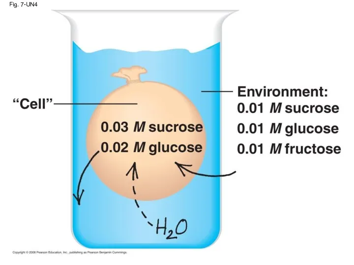 Fig. 7-UN4