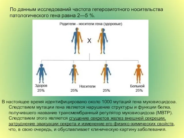 В настоящее время идентифицировано около 1000 мутаций гена муковисцидоза. Следствием