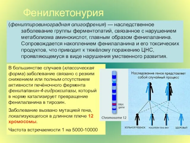 Фенилкетонурия (фенилпировиноградная олигофрения) — наследственное заболевание группы ферментопатий, связанное с