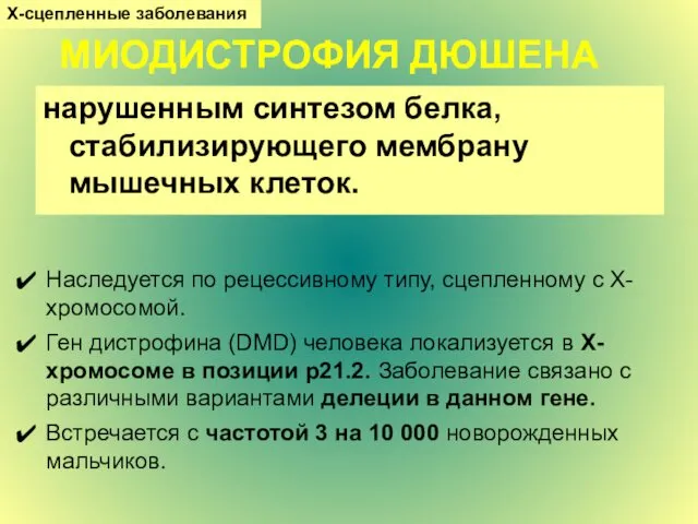 МИОДИСТРОФИЯ ДЮШЕНА нарушенным синтезом белка, стабилизирующего мембрану мышечных клеток. Наследуется