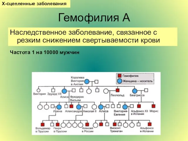 Гемофилия А Наследственное заболевание, связанное с резким снижением свертываемости крови