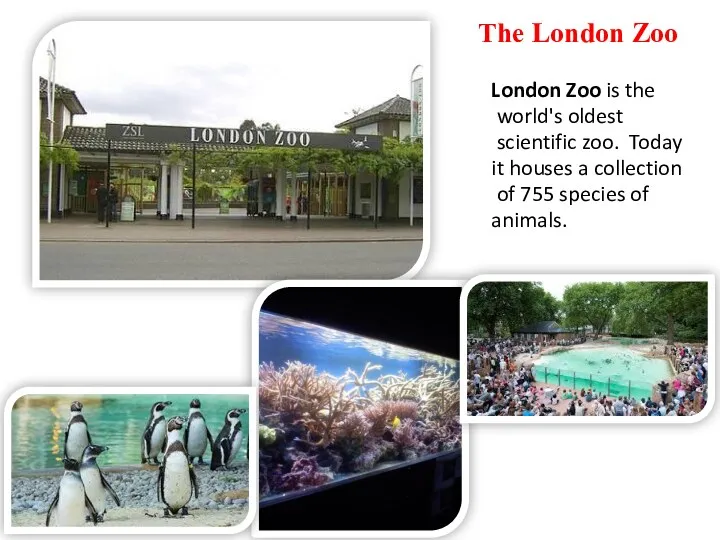 The London Zoo London Zoo is the world's oldest scientific