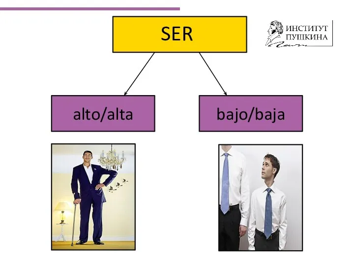 bajo/baja alto/alta SER