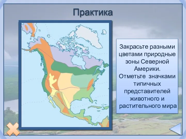 Закрасьте разными цветами природные зоны Северной Америки. Отметьте значками типичных представителей животного и растительного мира Практика