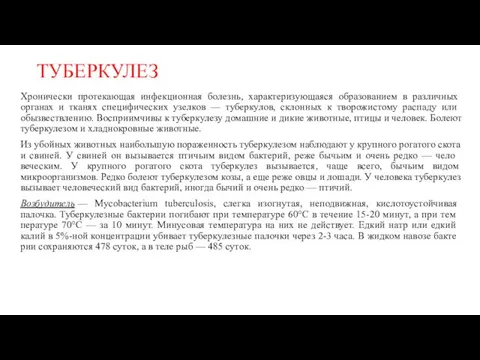 ТУБЕРКУЛЕЗ Хронически протекающая инфекци­онная болезнь, характеризующаяся об­разованием в различных органах