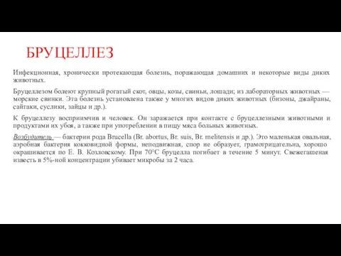 БРУЦЕЛЛЕЗ Инфекционная, хронически протека­ющая болезнь, поражающая домашних и некоторые виды