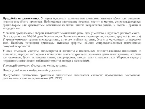 Предубойная диагностика. У коров основным клиническим признаком явля­ется аборт или