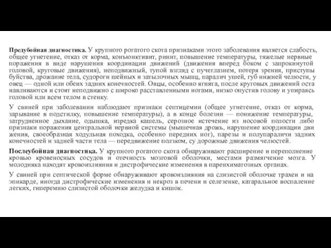 Предубойная диагностика. У круп­ного рогатого скота признаками этого заболевания является