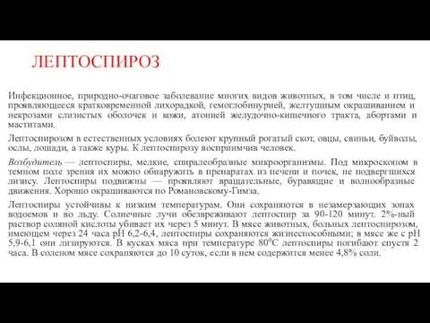 ЛЕПТОСПИРОЗ Инфекционное, природно-очаговое за­болевание многих видов животных, в том числе