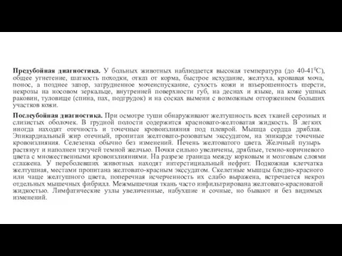 Предубойная диагностика. У больных животных наблюдается высокая температура (до 40-410С),