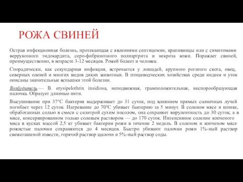 РОЖА СВИНЕЙ Острая инфекционная болезнь, про­текающая с явлениями септицемии, кра­пивницы