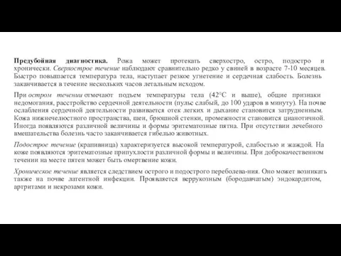 Предубойная диагностика. Рожа мо­жет протекать сверхостро, остро, подостро и хронически.