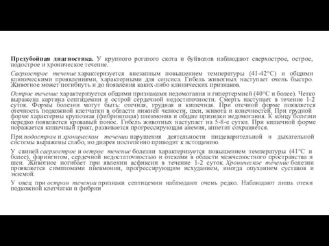 Предубойная диагностика. У крупно­го рогатого скота и буйволов наблюдают сверхострое,