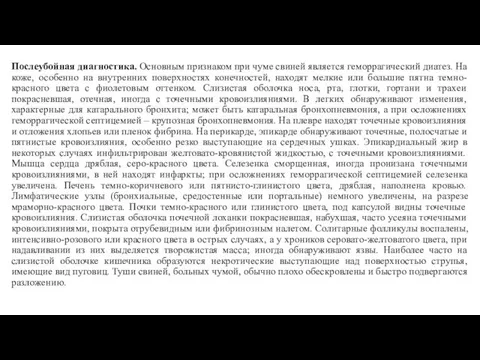 Послеубойная диагностика. Основным признаком при чуме свиней является геморрагический диатез.