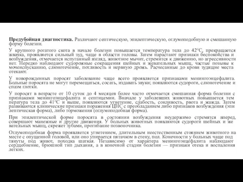 Предубойная диагностика. Различают септическую, эпилептическую, оглумоподобную и смешанную форму болезни.