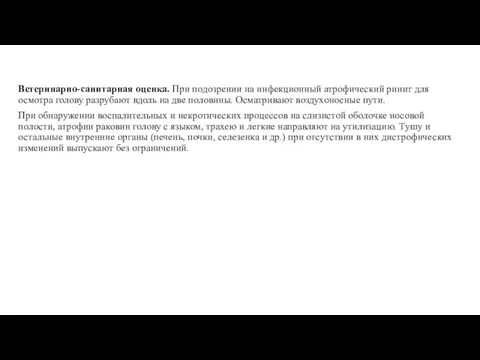 Ветеринарно-санитарная оценка. При подозрении на инфекционный атрофический ринит для осмотра