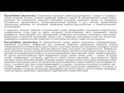 Предубойная диагностика. Клиниче­ские признаки лейкоза разнообразны и зависят от формы