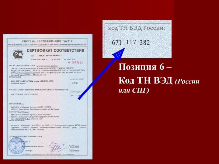 Позиция 6 – Код ТН ВЭД (России или СНГ)