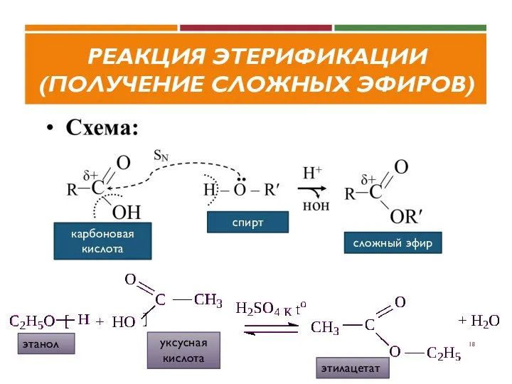 РЕАКЦИЯ ЭТЕРИФИКАЦИИ (ПОЛУЧЕНИЕ СЛОЖНЫХ ЭФИРОВ) карбоновая кислота спирт сложный эфир этилацетат этанол уксусная кислота