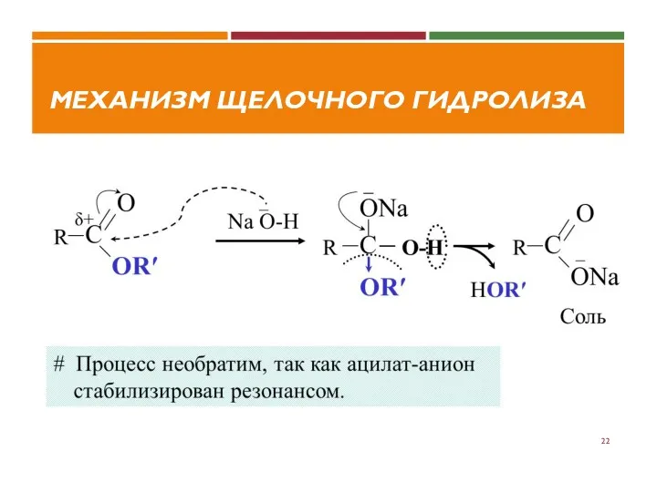 МЕХАНИЗМ ЩЕЛОЧНОГО ГИДРОЛИЗА