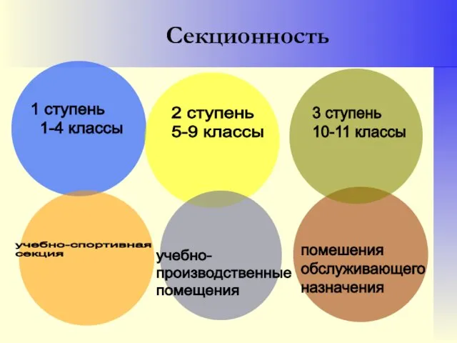 Секционность учебно-спортивная секция 1 ступень 1-4 классы 2 ступень 5-9