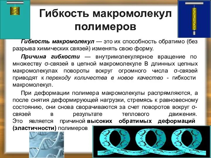 Гибкость макромолекул полимеров Гибкость макромолекул — это их способность обратимо