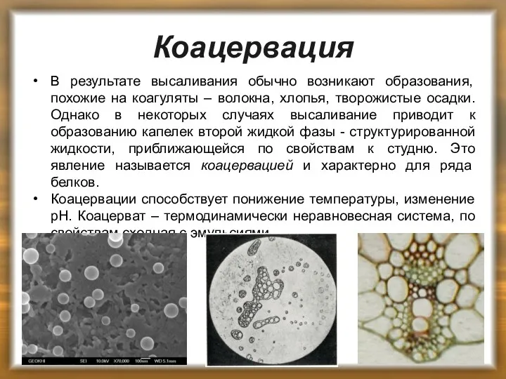 Коацервация В результате высаливания обычно возникают образования, похожие на коагуляты