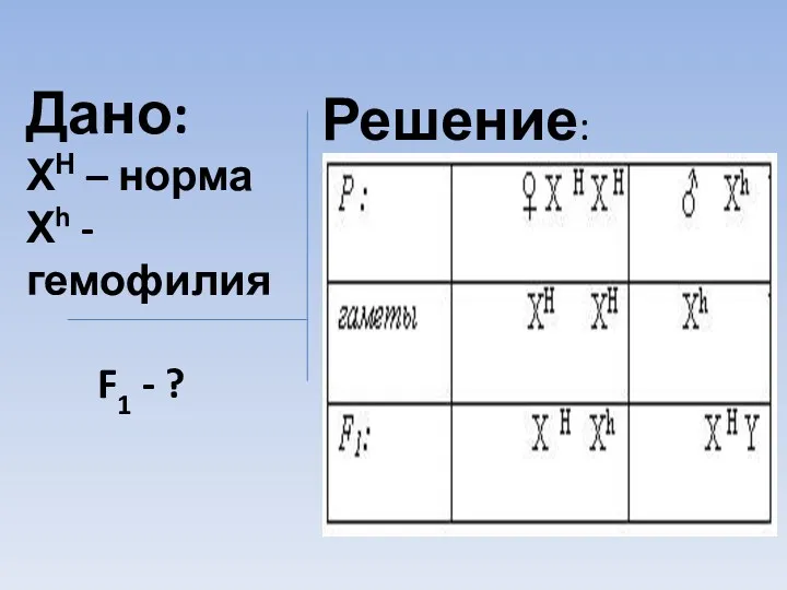 Дано: ХН – норма Хh - гемофилия F1 - ? Решение: G: F1: