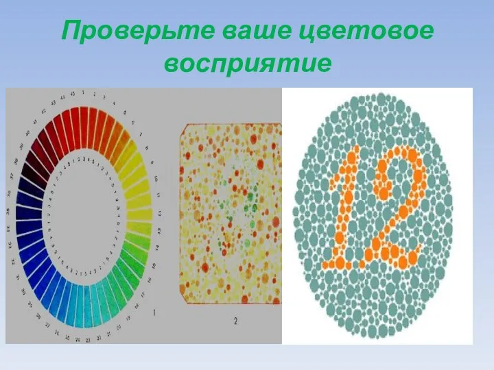 Проверьте ваше цветовое восприятие