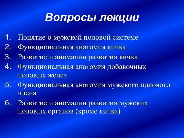 Вопросы лекции Понятие о мужской половой системе Функциональная анатомия яичка