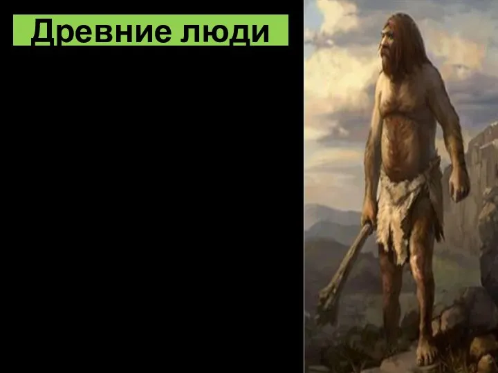 Древние люди появились около 200 тыс лет назад Неандертальцы были