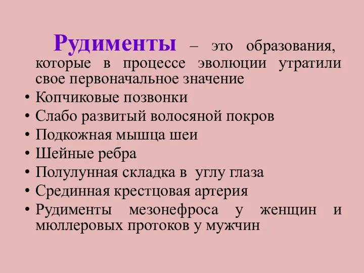 Рудименты – это образования, которые в процессе эволюции утратили свое