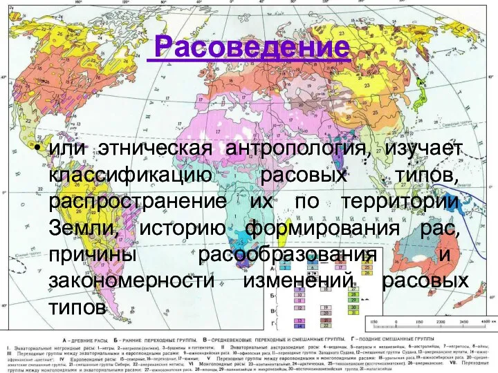 Расоведение или этническая антропология, изучает классификацию расовых типов, распространение их