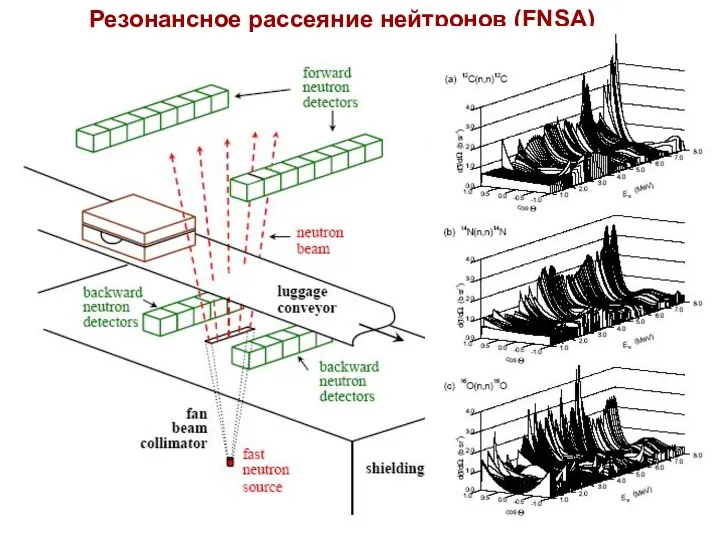 Резонансное рассеяние нейтронов (FNSA)