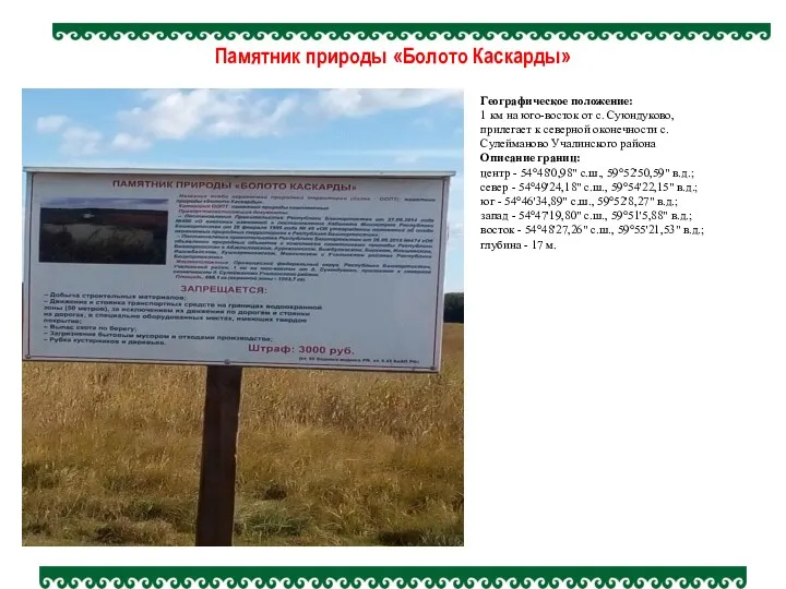 Памятник природы «Болото Каскарды» Географическое положение: 1 км на юго-восток