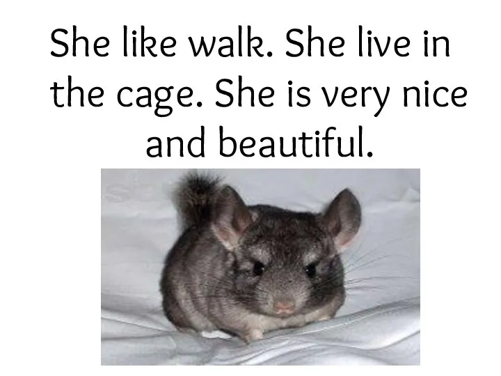 She like walk. She live in the cage. She is very nice and beautiful.