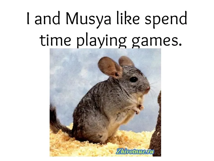 I and Musya like spend time playing games.