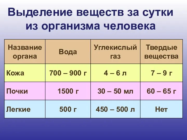 Выделение веществ за сутки из организма человека