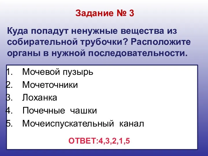 Куда попадут ненужные вещества из собирательной трубочки? Расположите органы в