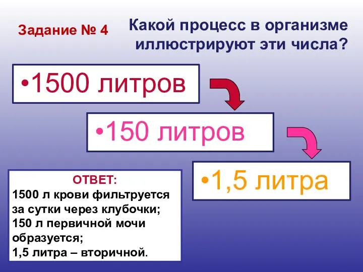 Какой процесс в организме иллюстрируют эти числа? 1500 литров 150