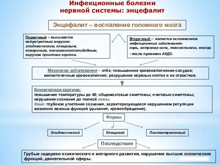 Company Logo Инфекционные болезни нервной системы: энцефалит Энцефалит – воспаление