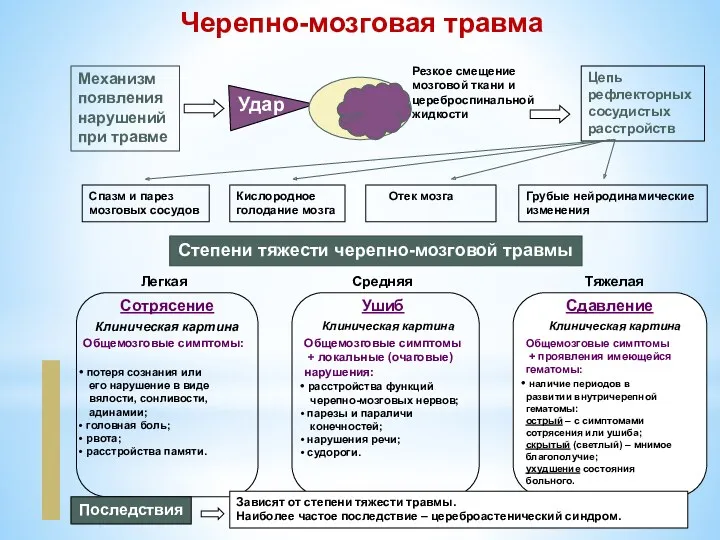 Company Logo Черепно-мозговая травма Механизм появления нарушений при травме Удар