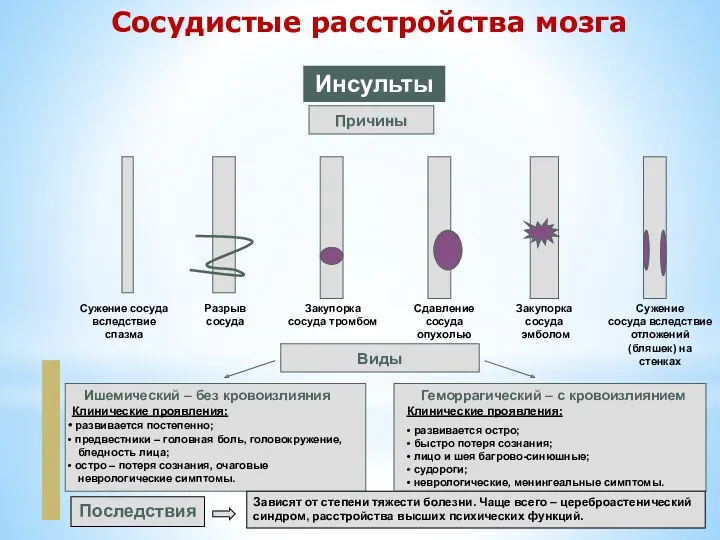 Company Logo Сосудистые расстройства мозга Инсульты Причины Виды Сужение сосуда