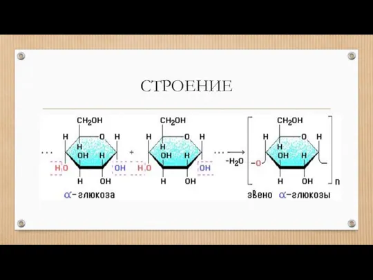 СТРОЕНИЕ